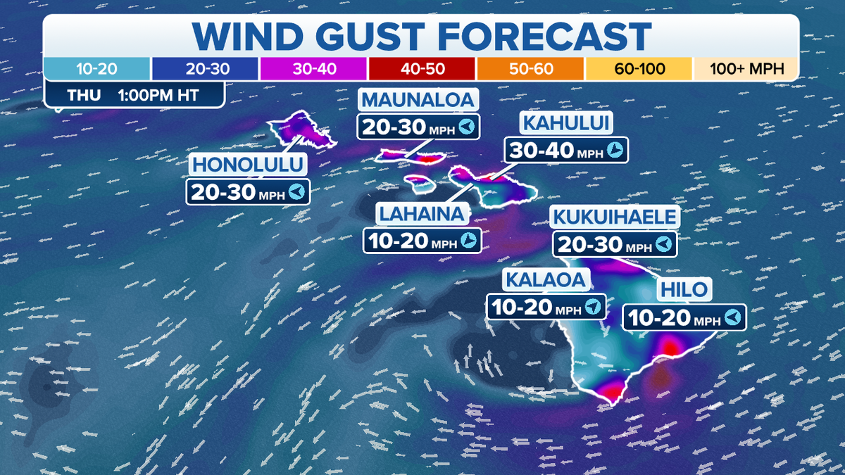 Wind gust forecast