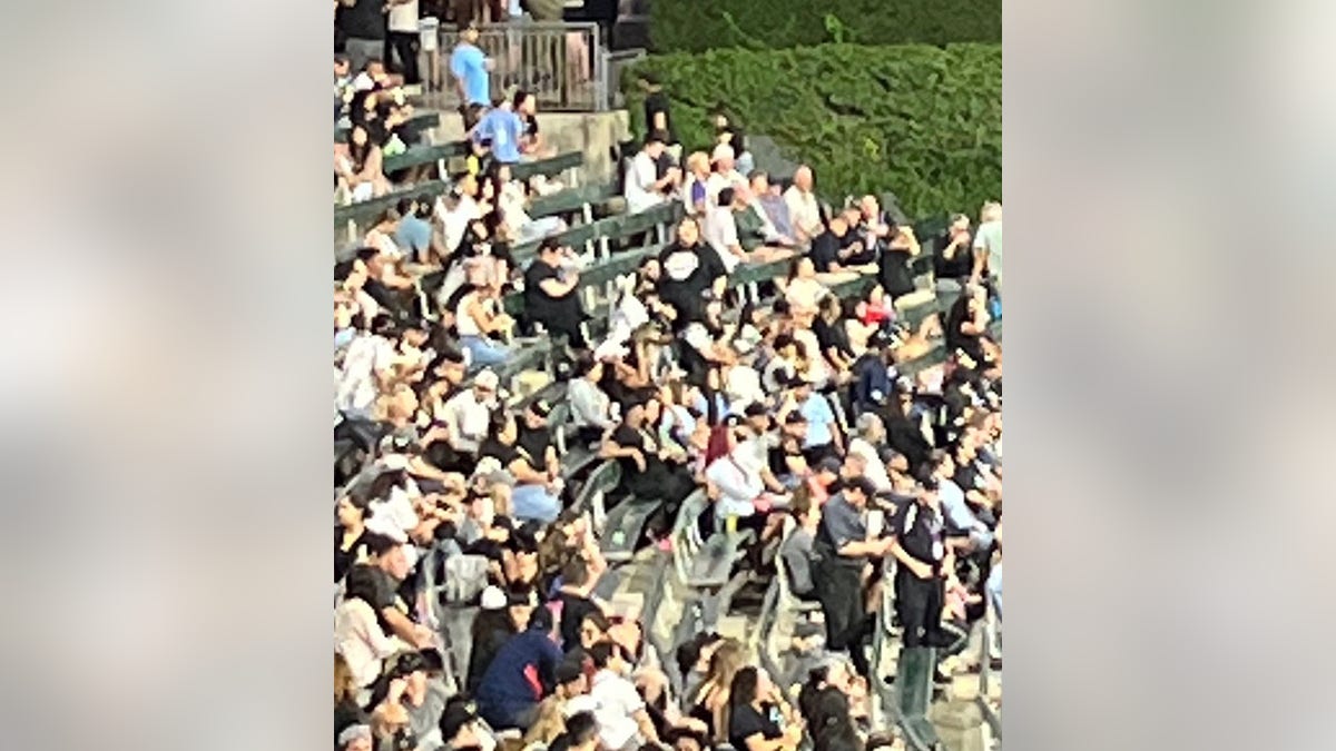 Fans in bleachers at Guaranteed Rate Field