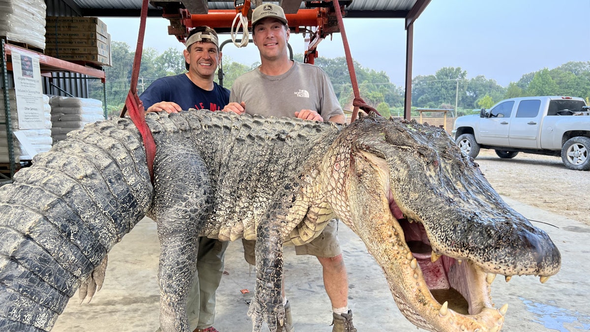 Wide shot of Will Thomas posing with his record alligator while standing next to a Red Antler employee.