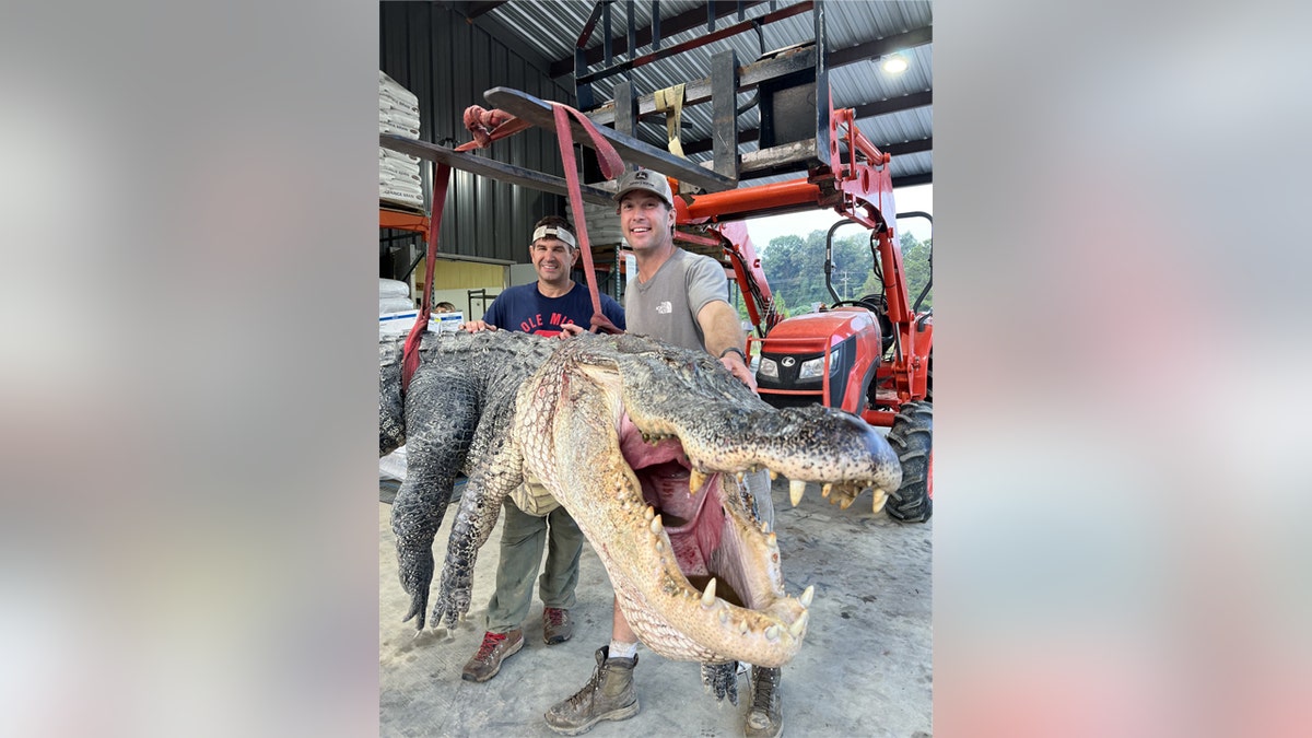 Will Thomas poses with record alligator next to Red Antler employee.