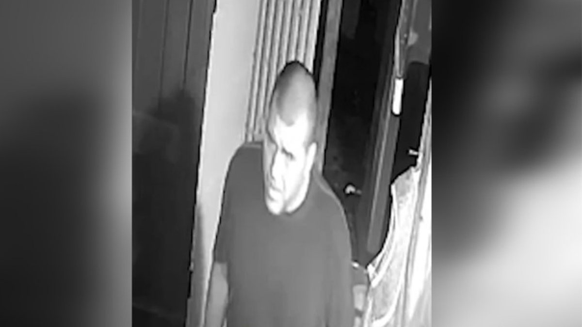 Male suspect