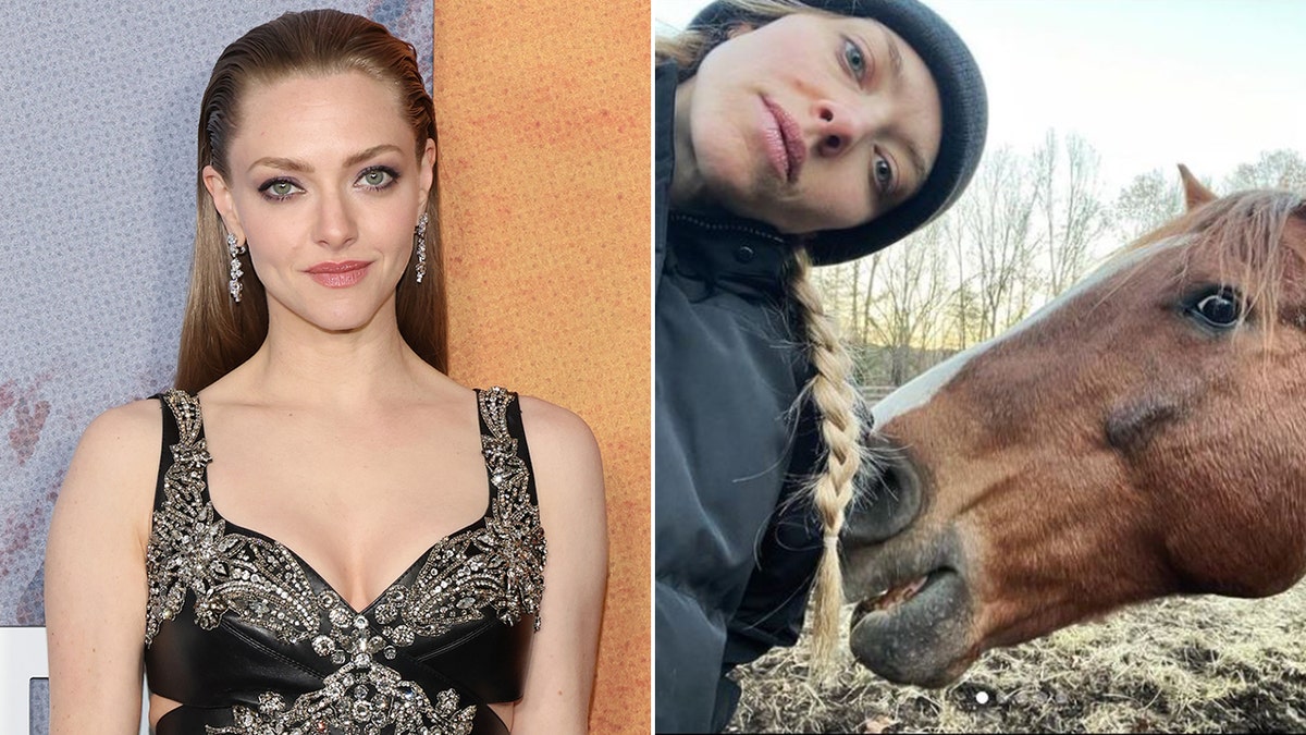 Amanda Seyfried on the red carpet and on her farm split