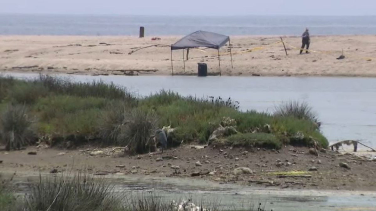 barrel under investigation at lagoon