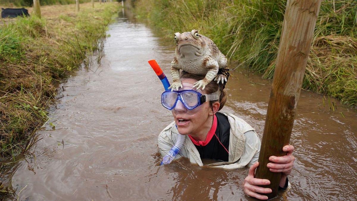 Competitor in bog snorkeling