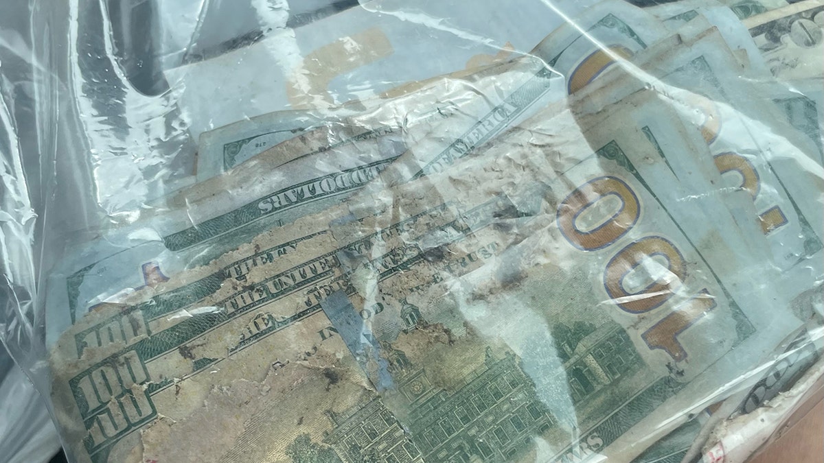 cash found while fishing