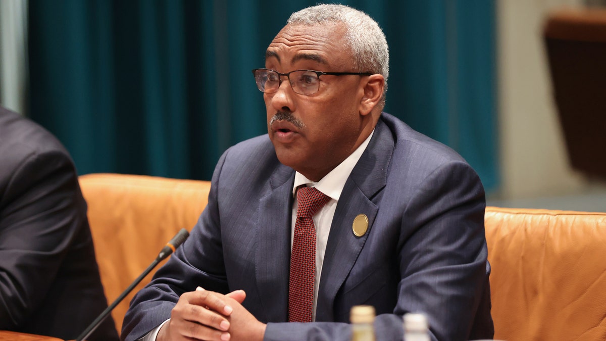 Demeke Mekonnen