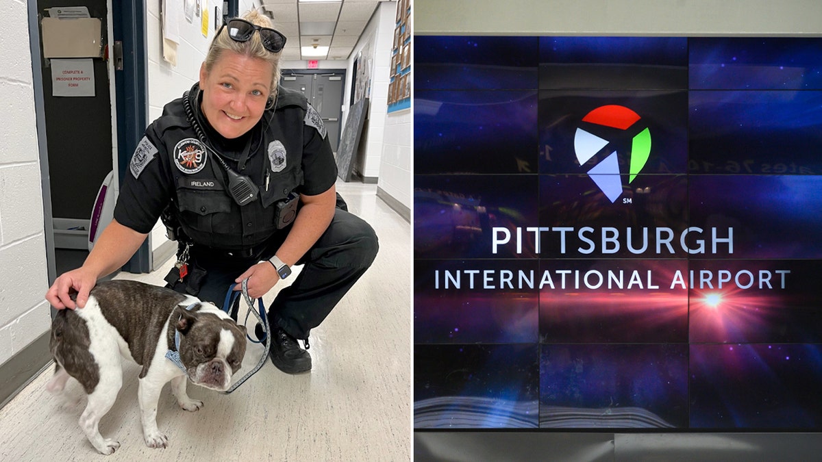 dog abandoned at PA airport split