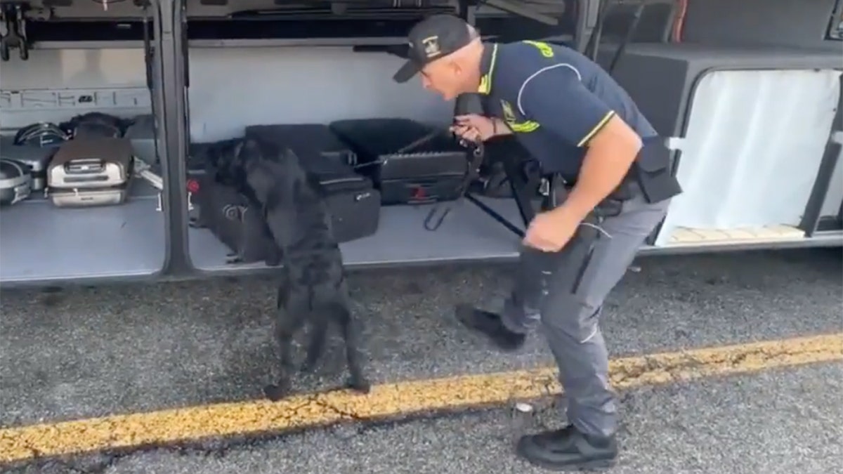 police dog searches bus luggage compartment