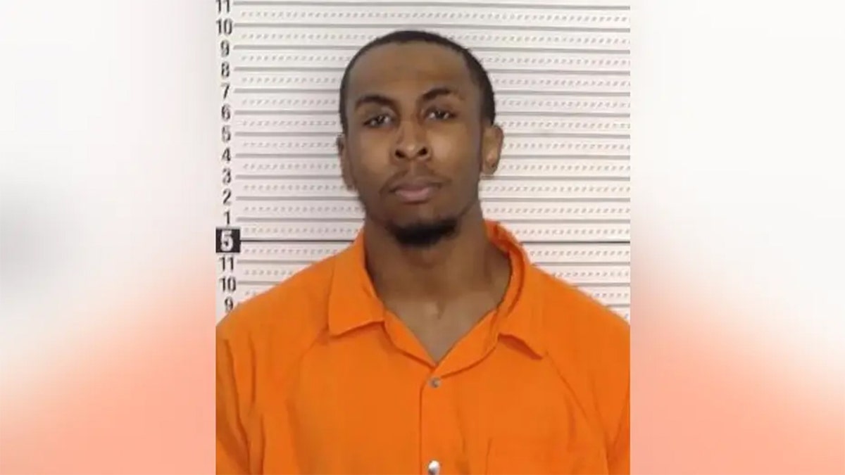 Donell Anderson mugshot