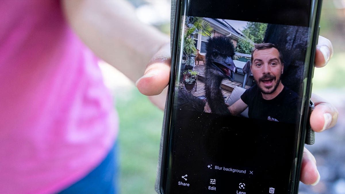 Phone shows photo of a man and emu