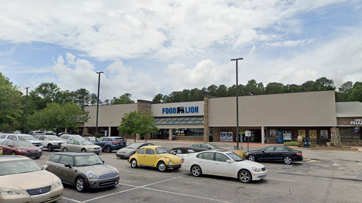 Food Lion store and parking lot shown
