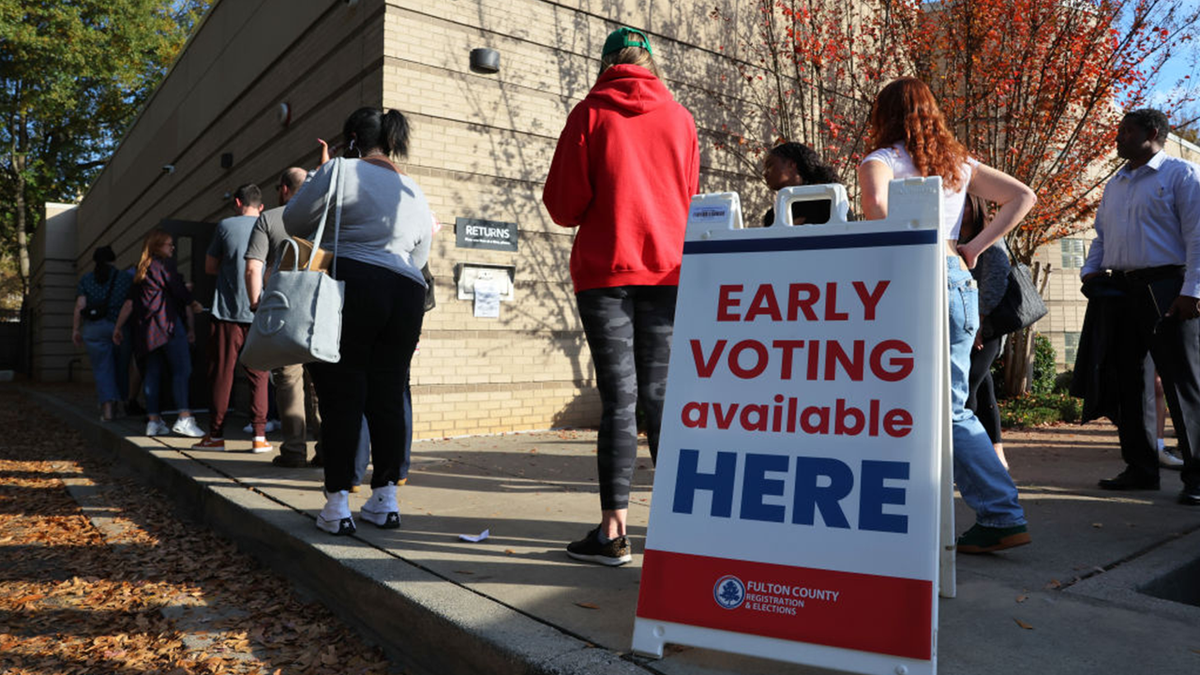 Georgia voting line