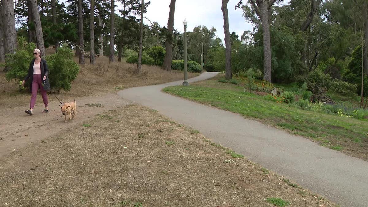 Scene near Golden Gate Park in San Francisco, where a woman's body was found