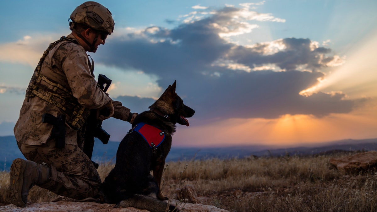 army soldier with service dog