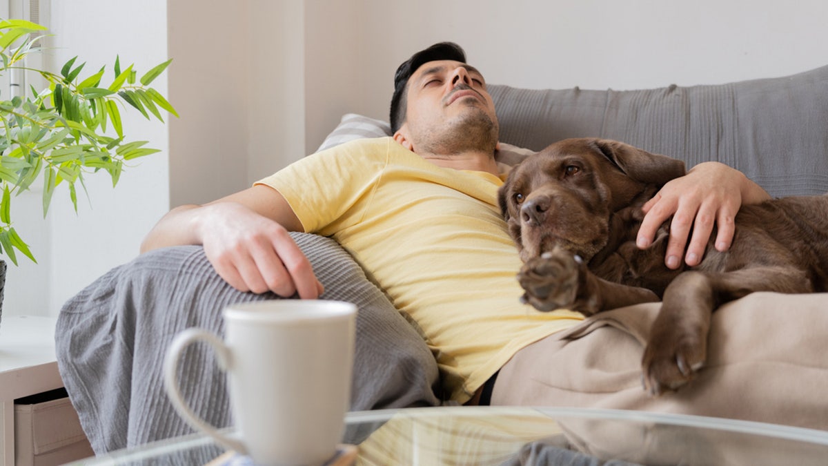 Dog on couch and bed dilemma