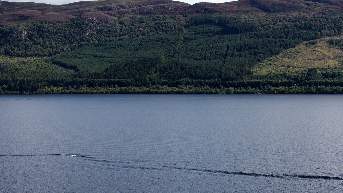 Loch Ness monster hunters release findings of biggest search in decades 6 Loch Ness view