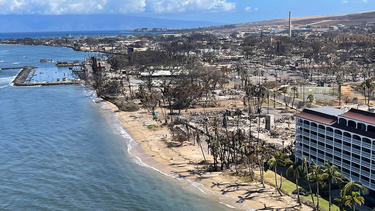 Hawaiian Couple Suing Power Companies Over Lahaina Destruction Amid ...