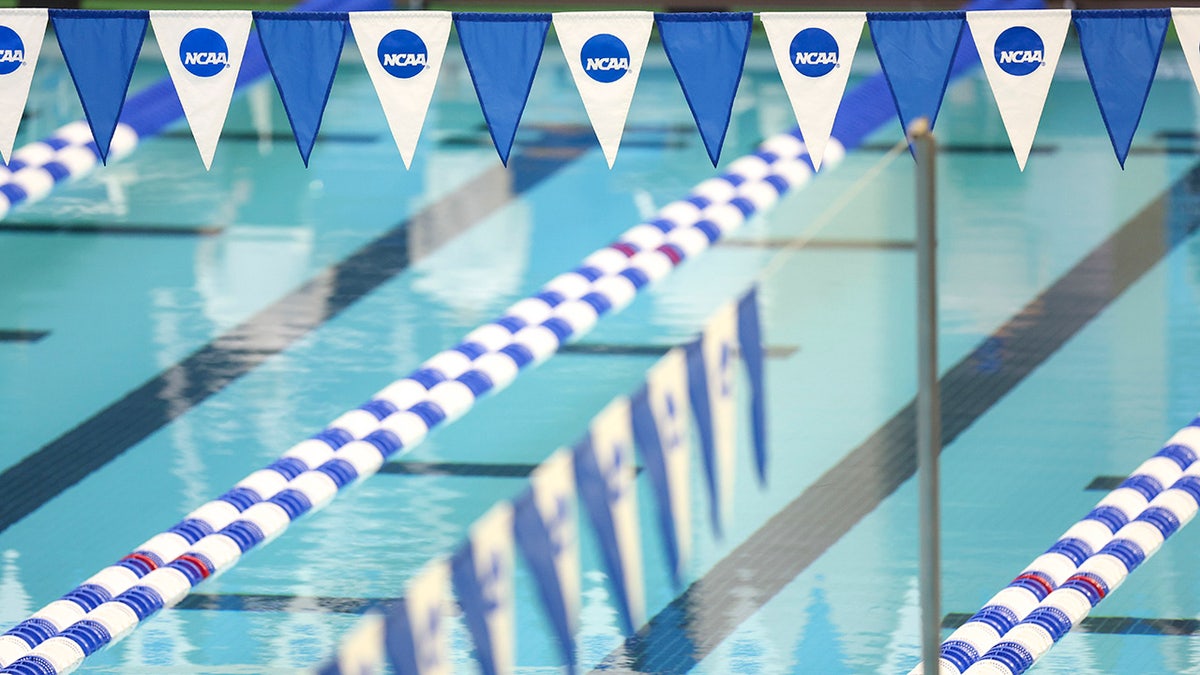 Ng C Ng H A K U G I NCAA Thay I Ch Nh S Ch I V I V N Ng Vi N   Ncaa Swimming 