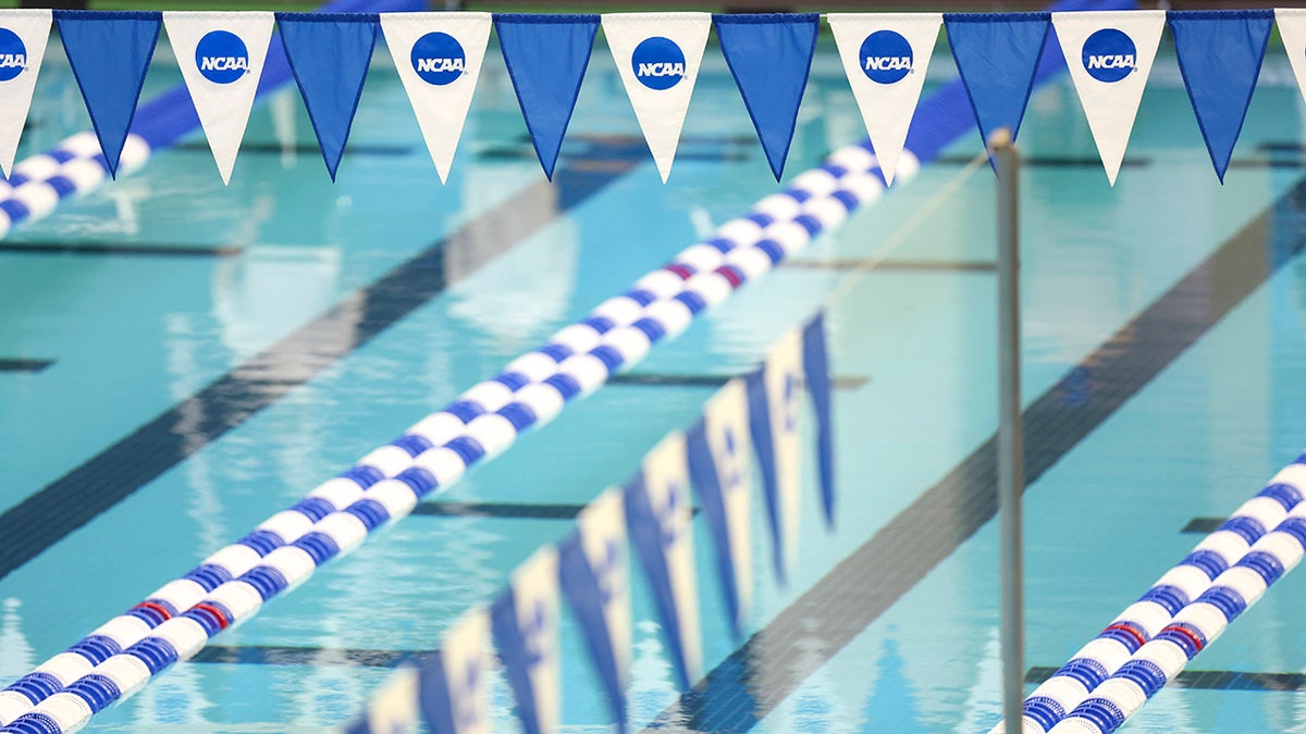 NCAA swimming banners