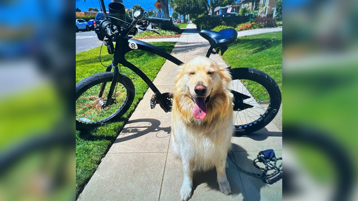 Ace smiling next to bike