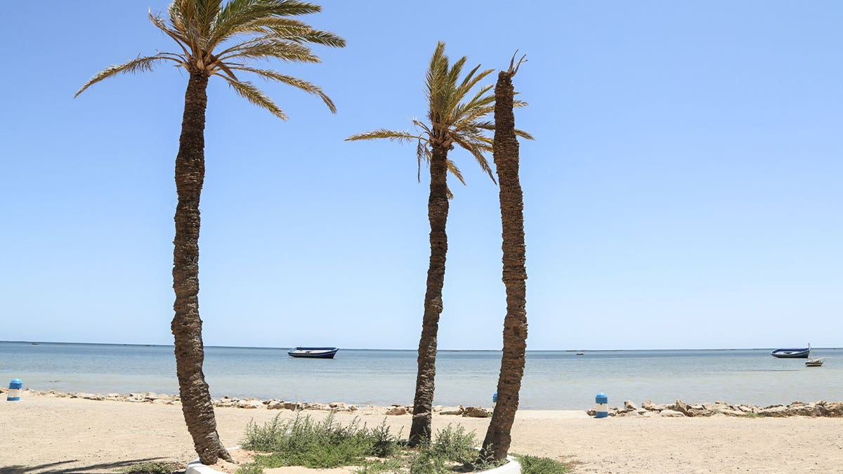 Palm trees are seen on the beach off Sfax, Tunisia. Officials said Tuesday that five migrants, including a child, died after a boat carrying dozens of people sank Monday.