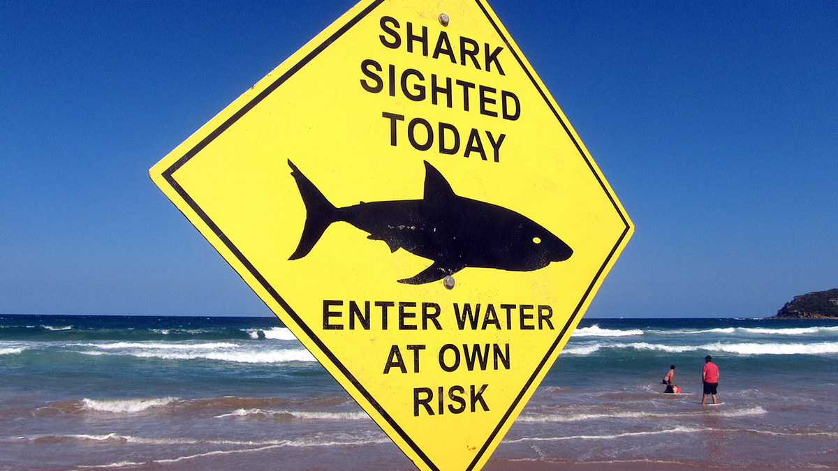Sign warning about sharks in Australia