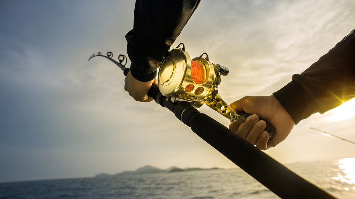 spinning reel iStock