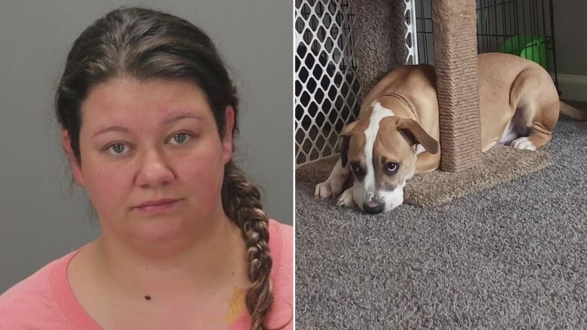 Michigan woman charged with performing sex act on dog, caught by ex-boyfriend Fox News picture