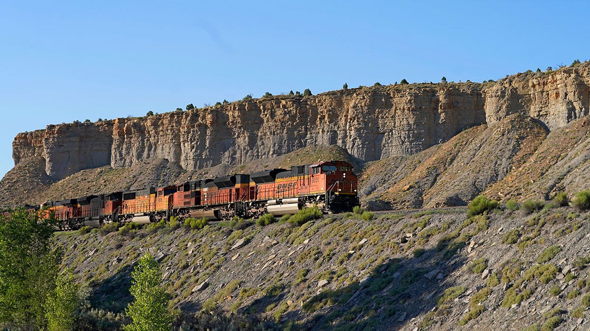 train transports freight 