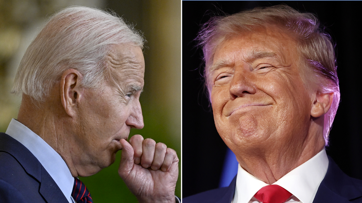 View hosts in disbelief that Trump close to Biden in polls 'Why the