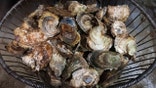 A basket of oysters