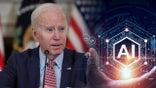 New AI poll reveals elites are way out of step with the rest of us