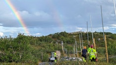 Norway rebuilds fence along Russian border to stop reindeer from wandering into the neighboring country
