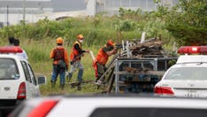 Hunters take out serial cow-killing 'Ninja' bear in Japan