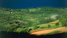 Italian police scour forest in search of Dutchman who was accused of fatally stabbing his father