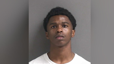 Florida deputies arrest man wearing 'Scream' mask during 2 robberies: Officials