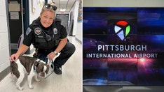 Police speak out after Pennsylvania dog is abandoned at airport by owner: 'Hard for me to wrap my head around'