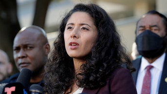 Judge slapped with criminal abuse of office complaint day after VP Harris visit