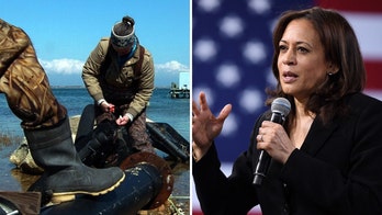 Kamala Harris hosts 'grassroots' fundraiser on Martha’s Vineyard as high costs force workers, Natives to flee
