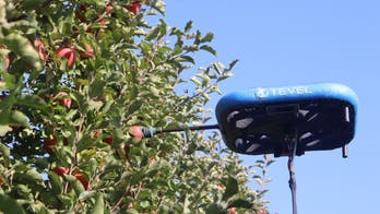 Fruit-picking robots take flight, just when you've seen it all