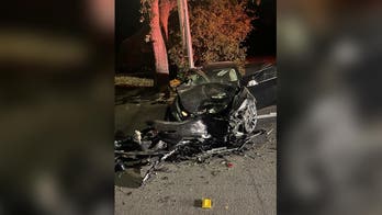 California 13-year-old girl totals parents' Tesla in Santa Rosa crash: police