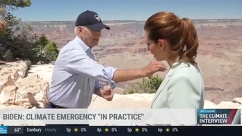 Biden flicks bug off reporter's shirt as he defends climate record