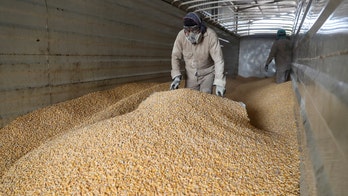 US set to escalate trade grievance with Mexico over genetically modified corn ban