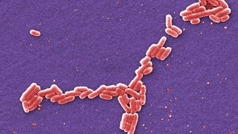 4 students hospitalized in E. coli outbreak at the University of Arkansas