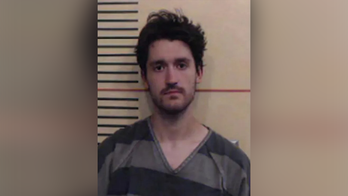 Texas animal shelter employee allegedly abused, killed kittens: officials