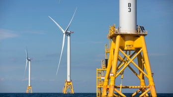 First Gulf of Mexico wind energy lease auction nets modest $5.6 million bid