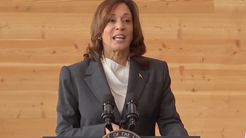 Kamala Harris has 'rabbit ears' for any 'hint of criticism,' frustrating Biden White House: book