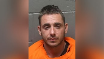 New Jersey man admits to slamming door on girlfriend's cat, breaking its limbs 'beyond repair'