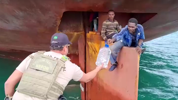 Nigerian stowaways survive 14-day trip across Atlantic on ship's rudder, drank ocean water: report