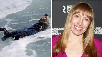 Hollywood actress Crystal Finn bitten by otter amid rare uptick in attacks